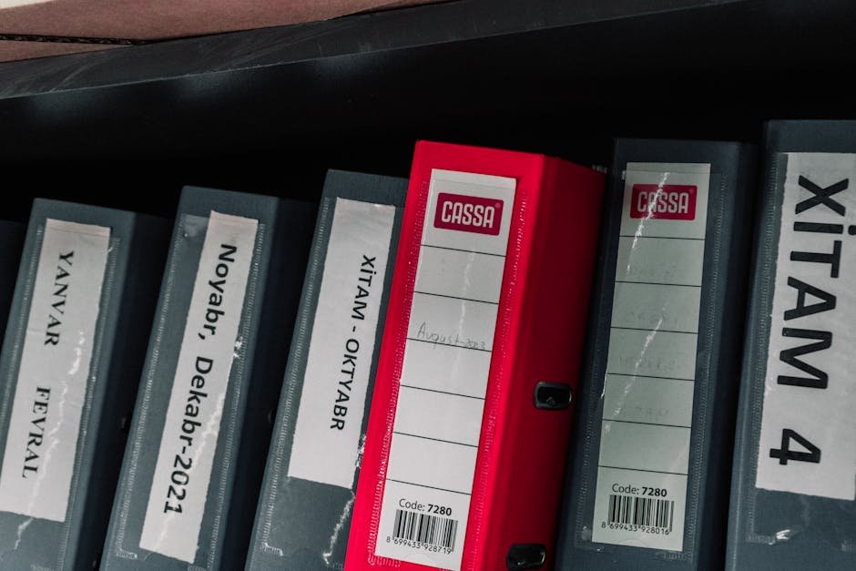 Pastas coloridas organizadas em prateleira representando reorganização de dados