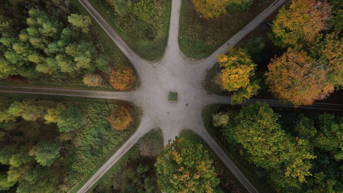 Caminhos diferentes em paisagem natural representando escolhas e decisões